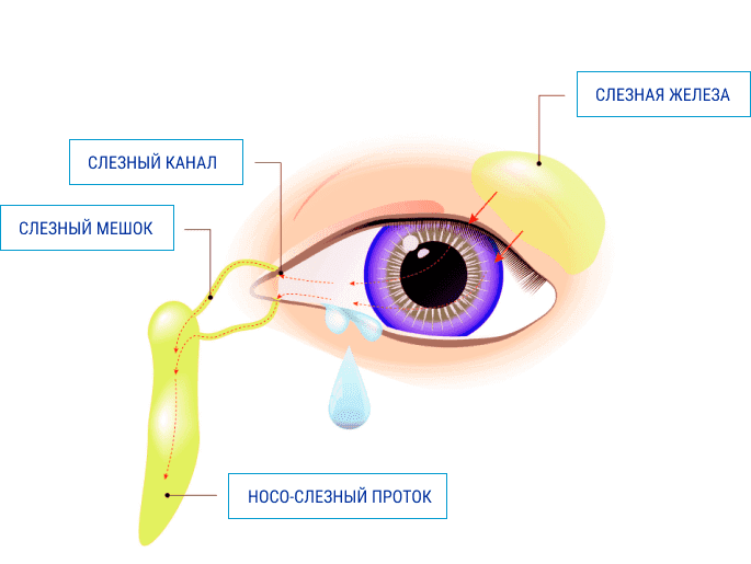 Признаки синдрома «сухого глаза»: почему текут слезы?